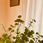 Odw Homes - Large With Three And Garden 別荘 Gorxheimertal