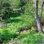 Odw Homes - Large With Three And Garden * Gorxheimertal