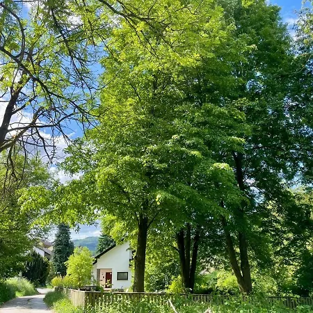 Odw Homes - Large With Three And Garden Gorxheimertal