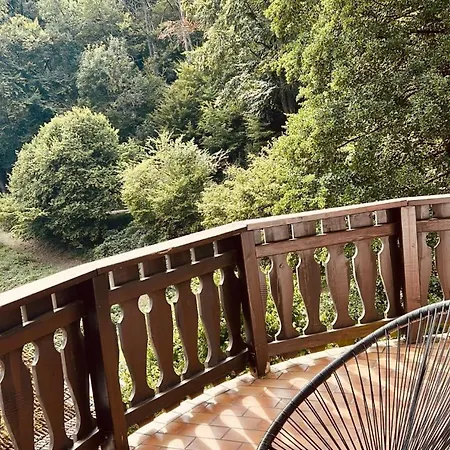 Odw Homes - Large With Three And Garden Gorxheimertal