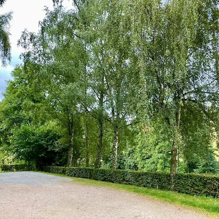 Odw Homes - Large With Three And Garden * Gorxheimertal