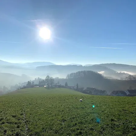 Odw Homes - Large With Three And Garden * Gorxheimertal