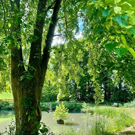 Odw Homes - Large With Three And Garden Gorxheimertal