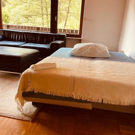Odw Homes - Large With Three And Garden * Gorxheimertal