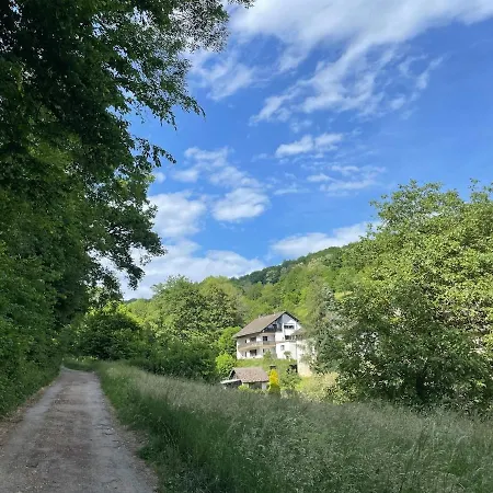 Odw Homes - Large With Three And Garden Gorxheimertal