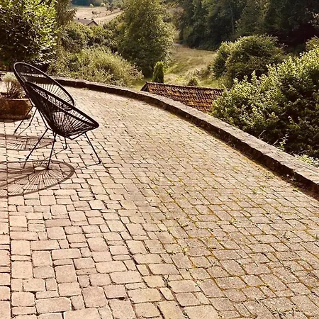Odw Homes - Large With Three And Garden Gorxheimertal