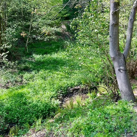 Odw Homes - Large With Three And Garden * Gorxheimertal