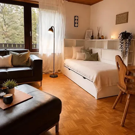 Odw Homes - Large With Three And Garden * Gorxheimertal