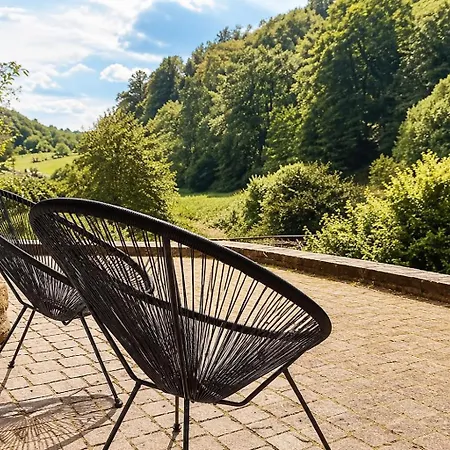 Odw Homes - Large With Three And Garden * Gorxheimertal