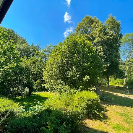 Odw Homes - Large With Three And Garden * Gorxheimertal