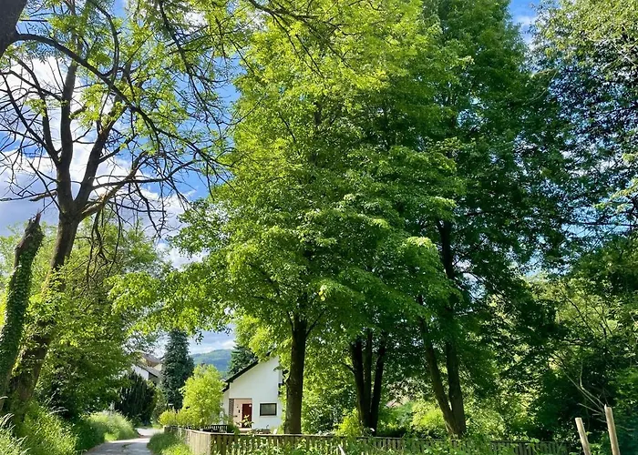 Odw Homes - Large With Three And Garden Gorxheimertal