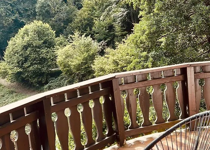 Odw Homes - Large With Three And Garden Gorxheimertal