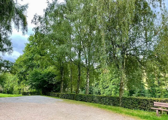 Odw Homes - Large With Three And Garden * Gorxheimertal