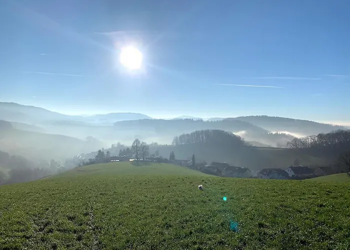 Odw Homes - Large With Three And Garden * Gorxheimertal