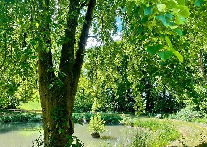 Odw Homes - Large With Three And Garden Gorxheimertal