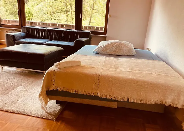 Odw Homes - Large With Three And Garden * Gorxheimertal