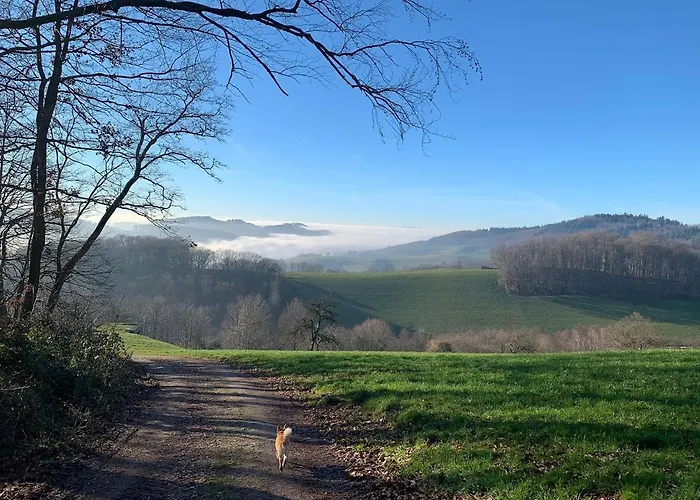 Odw Homes - Large With Three And Garden Prázdninový dům *