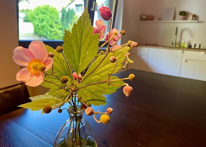 Odw Homes - Large With Three And Garden * Gorxheimertal