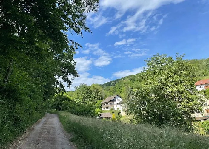 Odw Homes - Large With Three And Garden Gorxheimertal